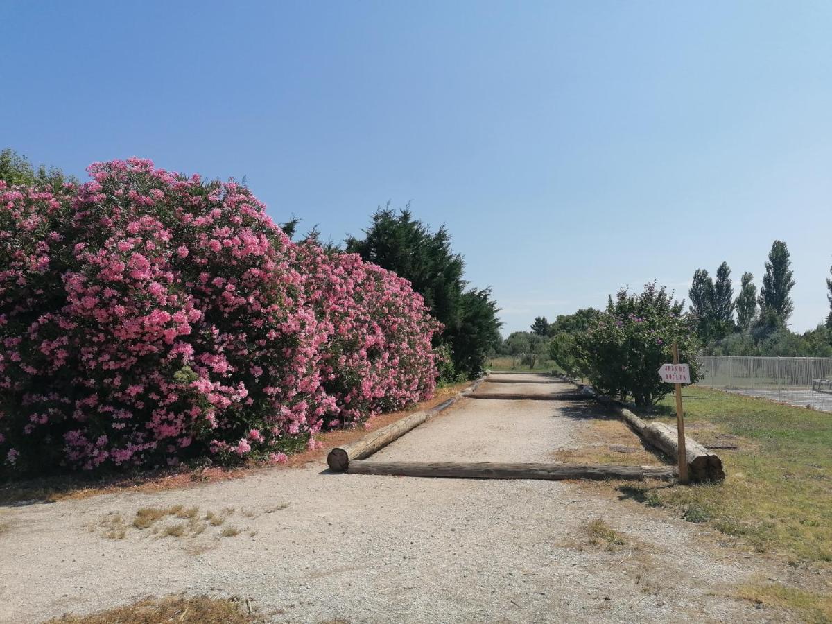 Les Gites Du Mas Canillac Châteaurenard Exteriör bild